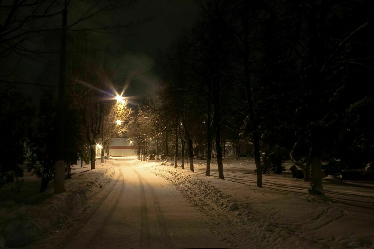 Утро в рабочем парке