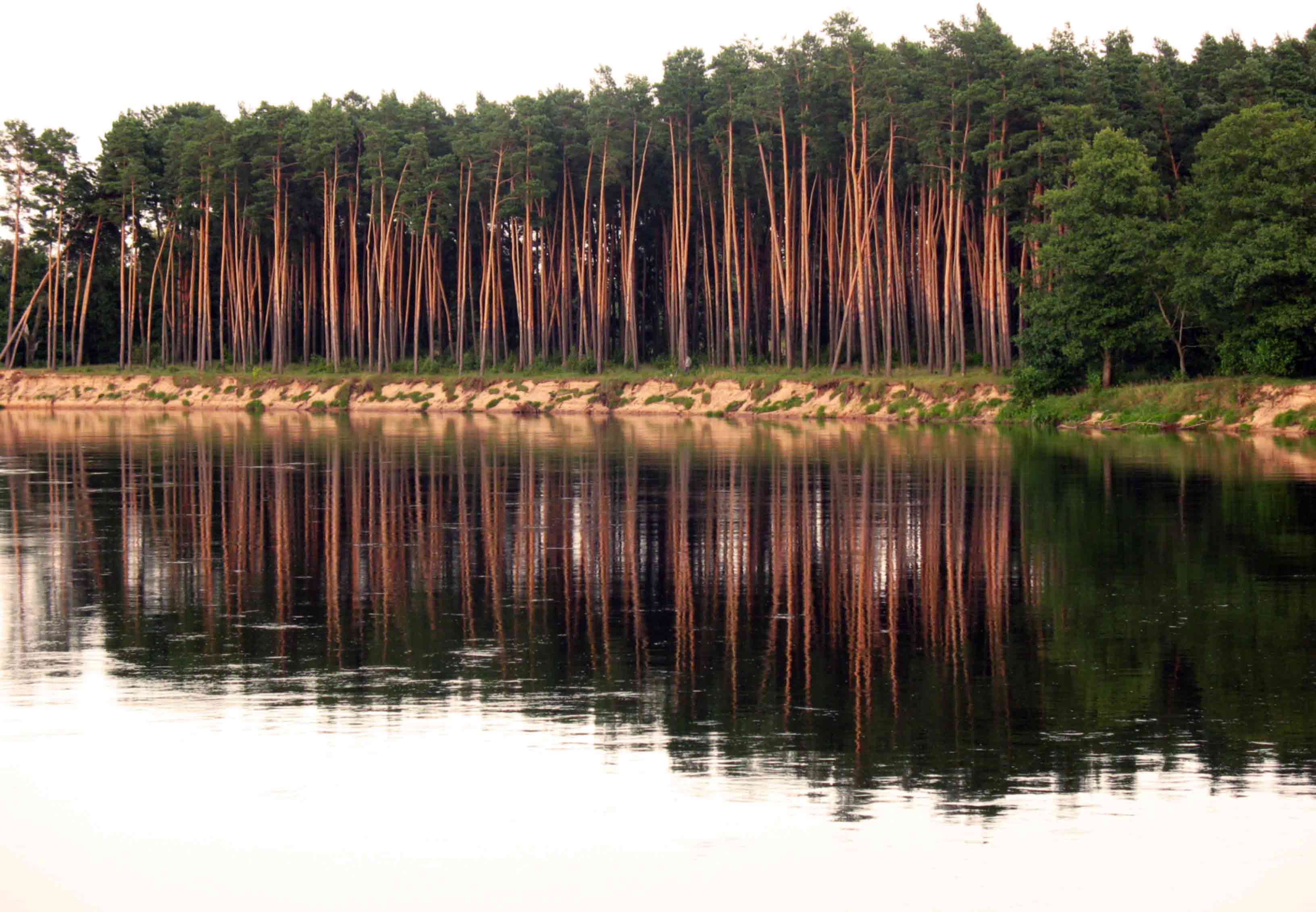 Реки Беларуси