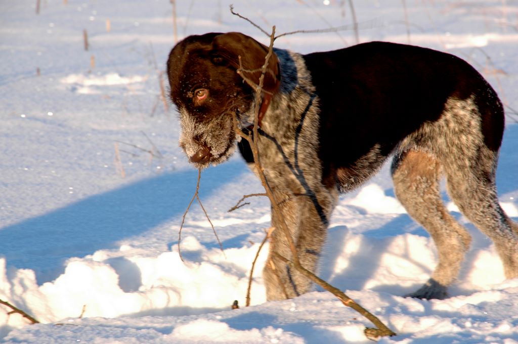 на зубок