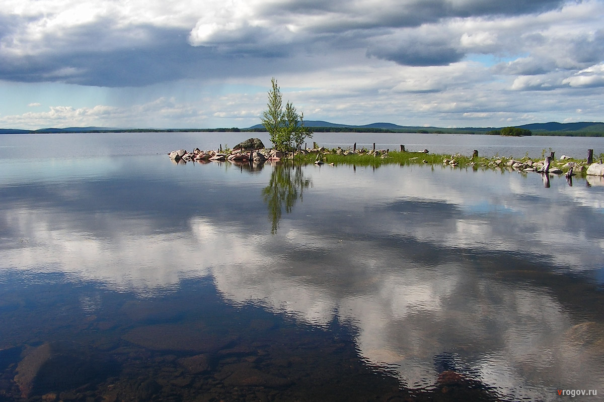 Берёзки среди облаков