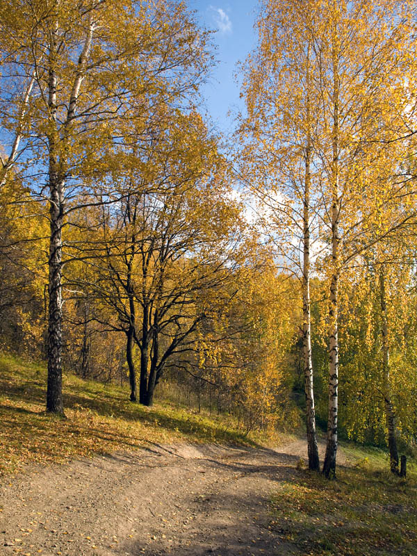 Золотая осень