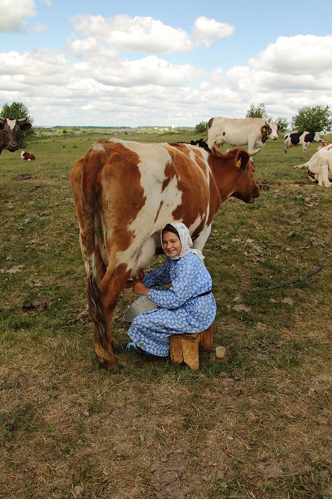 Божьи коровки