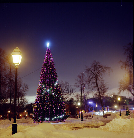 В саду "Эрмитаж"