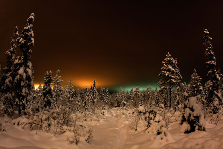 Родник за городом