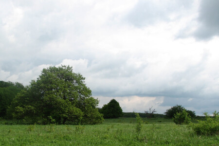 ждём грозы...