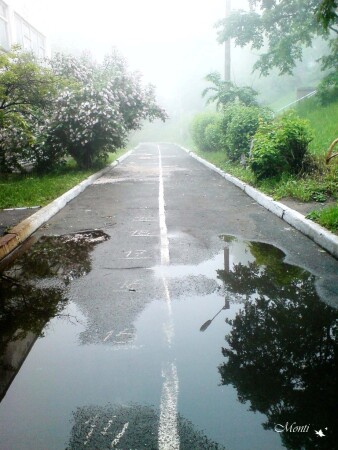 отражение раннего утра