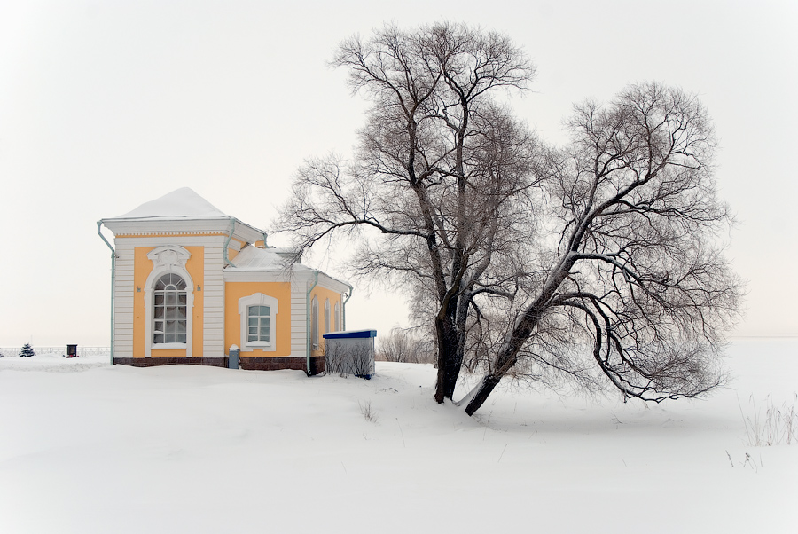 Дом на берегу. Петродворец