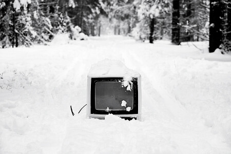 без названия #5