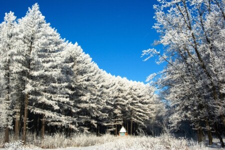 Зимний пейзаж