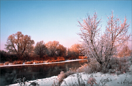 Розовая