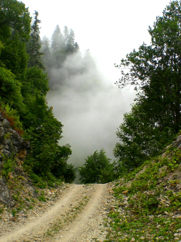 Дорога в Облака