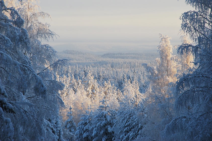 Снежные дали