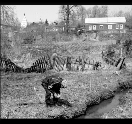 Мотыль