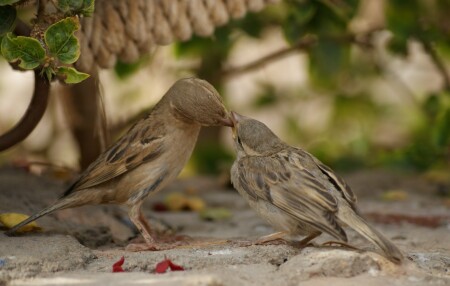 обеденный перерыв