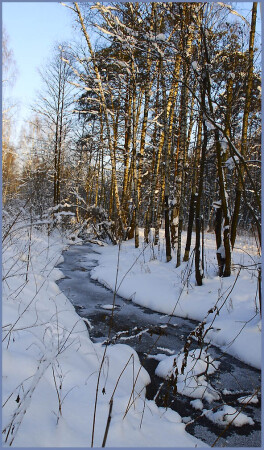 Речка Лось
