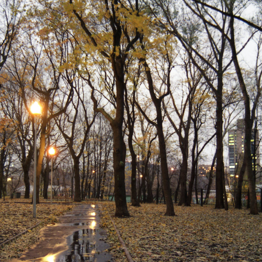 Осень в заброшенном парке