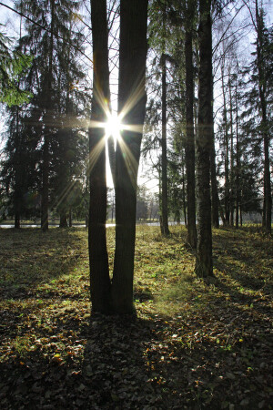ОСЕНЬ