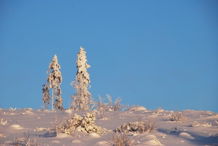На голубом фоне неба