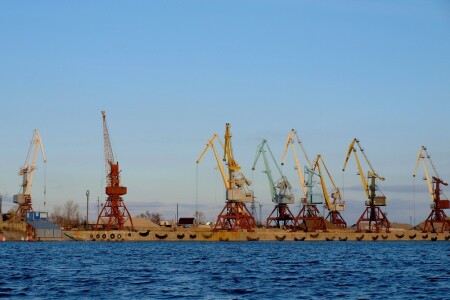 Стальные жирафы