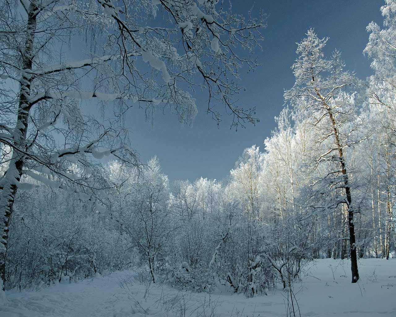 хорошо жить за городом