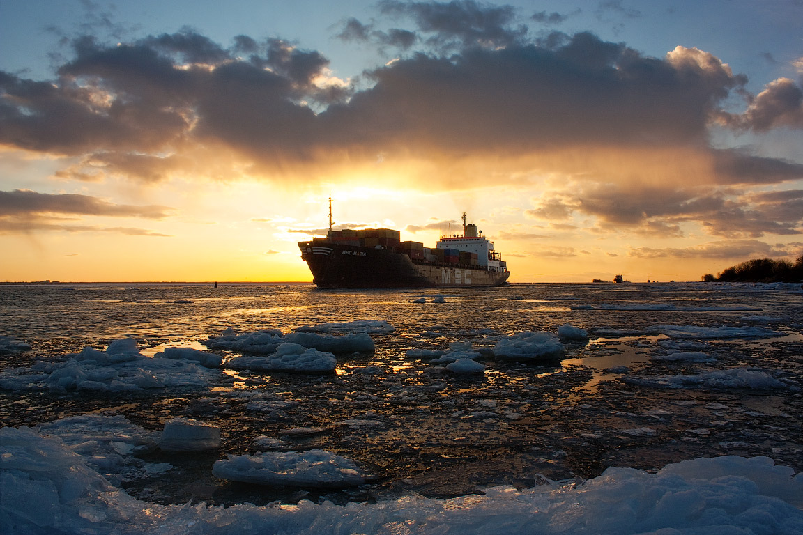 MSC Maria