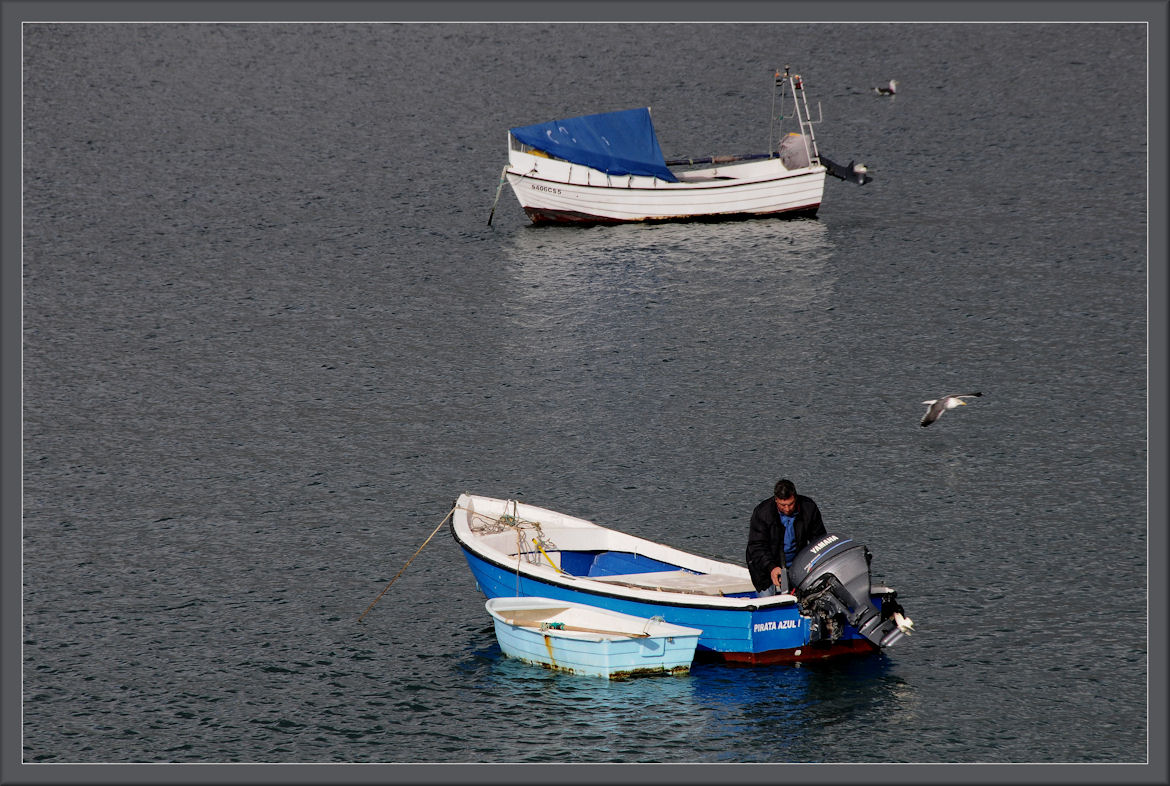 Pirata Azul