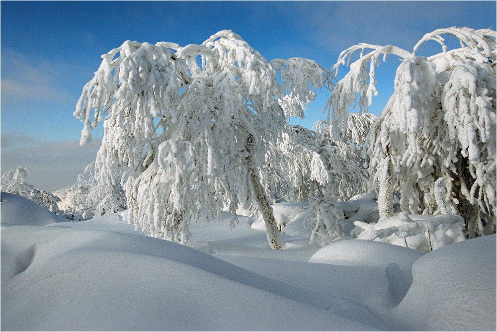 Шубки: Made in South Ural.