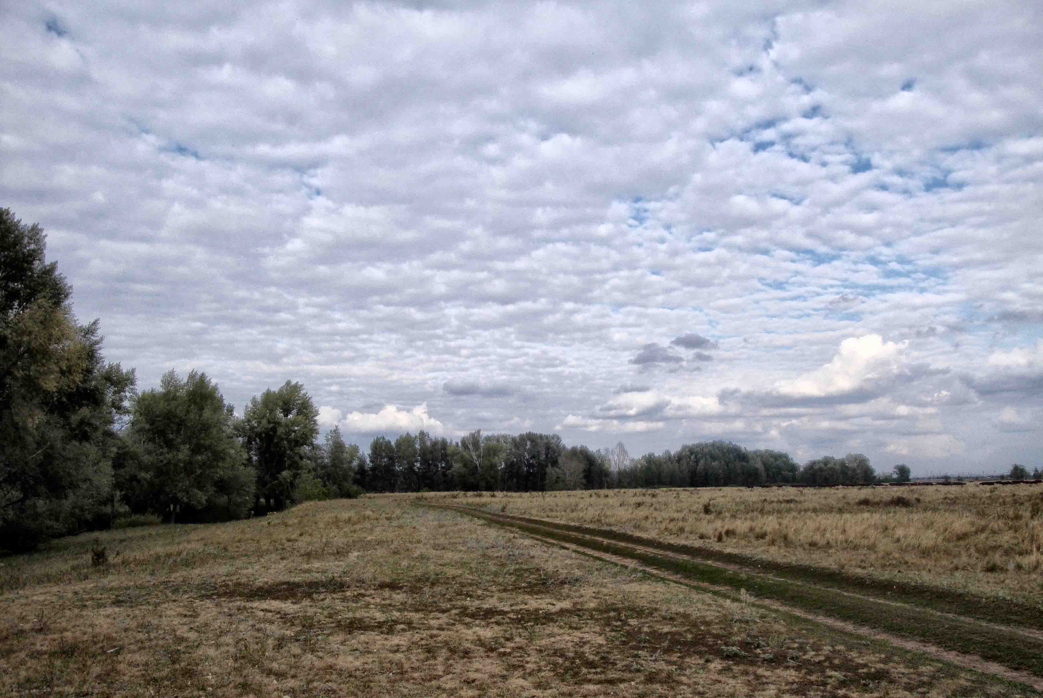 прямо в небосвод