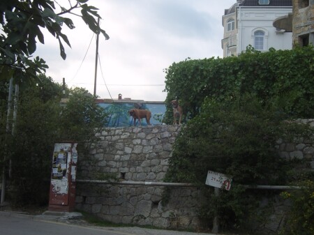 В ожидании незванных гостей