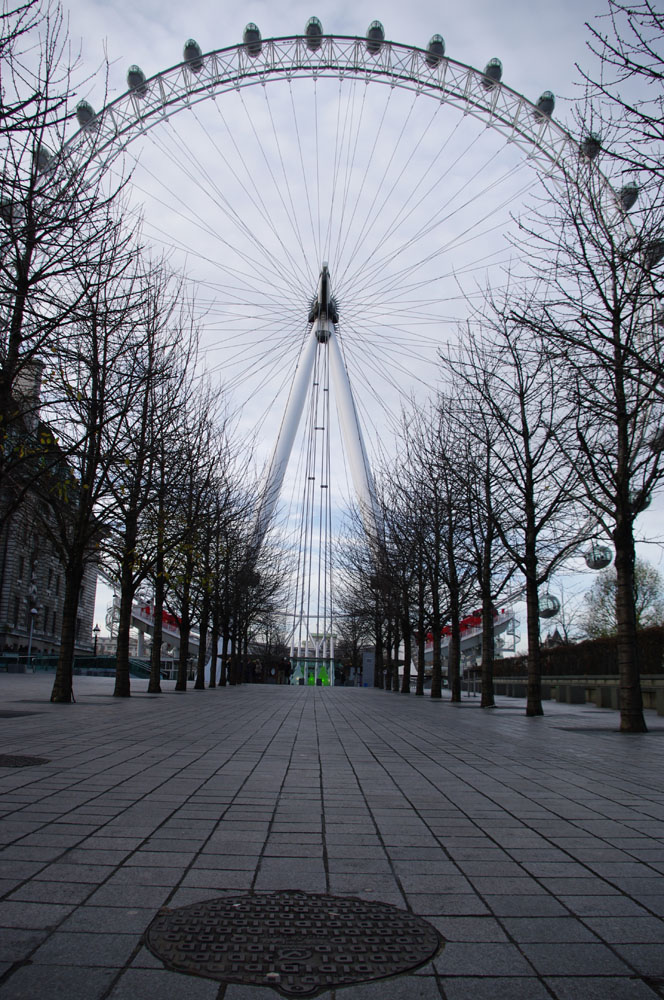 London Eye 3