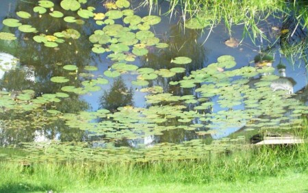 &amp;quot;Невидимый град Китеж&amp;quot;