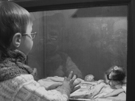 интерес и... жалость