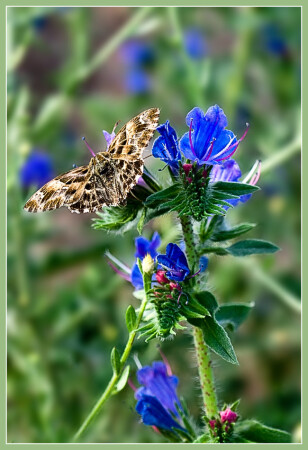 К взлету готов!