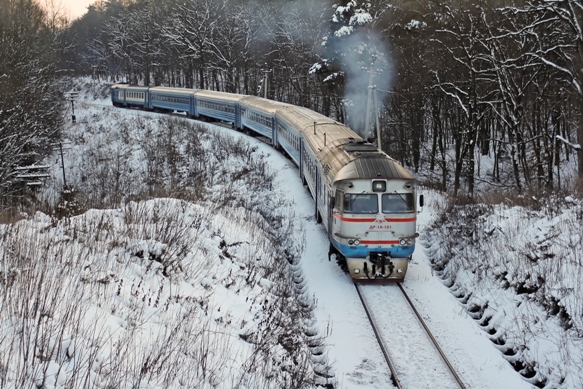 Серебристый пригородный