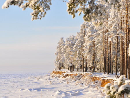 Рыбинское водохранилище. Январь