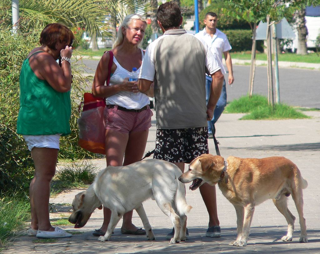 Случайная встреча земляков...