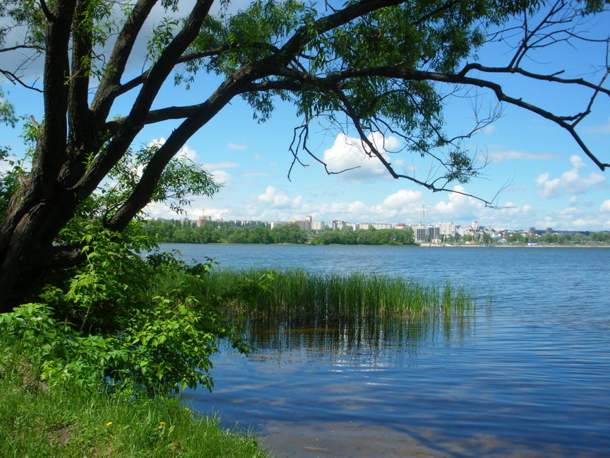 донести синь