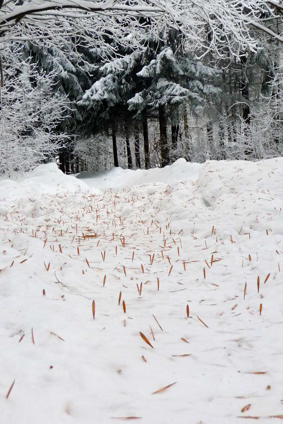 солдатики