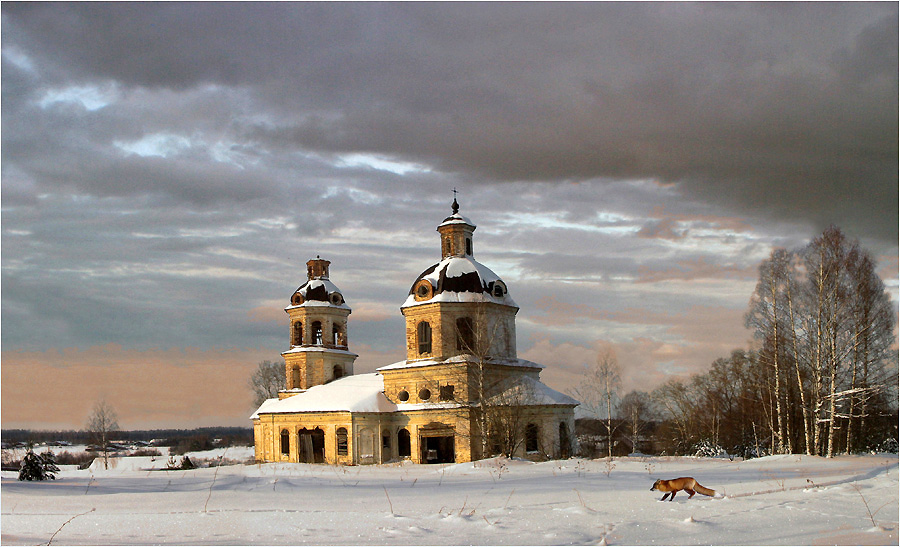 Православный лис