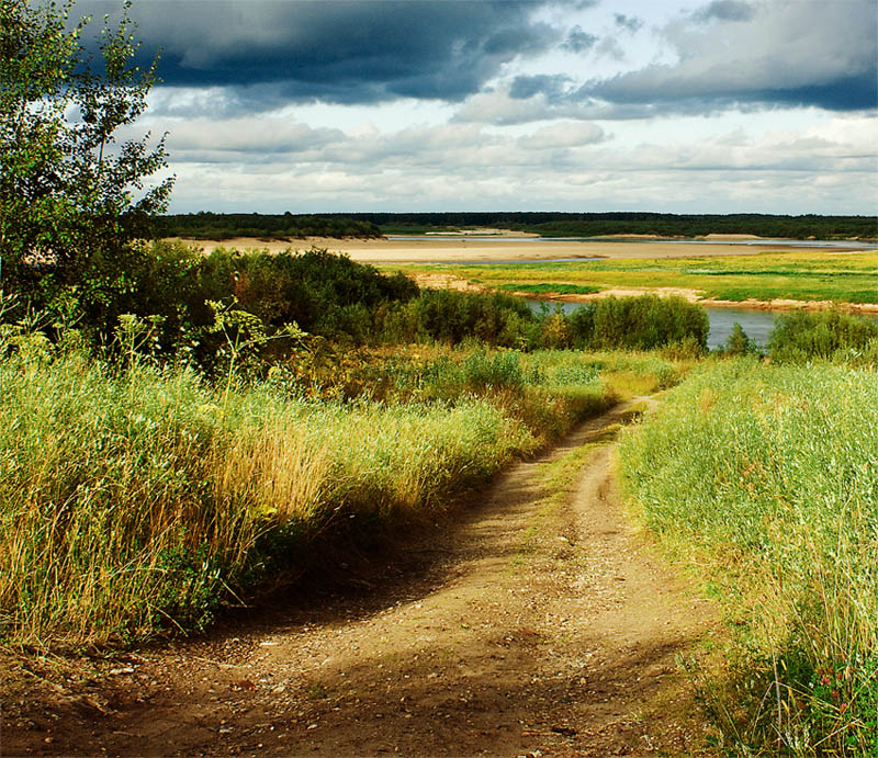 Дорога к реке