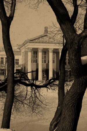 Дворянское гнездо