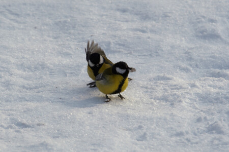 &amp;quot;давай,шевелись&amp;quot;