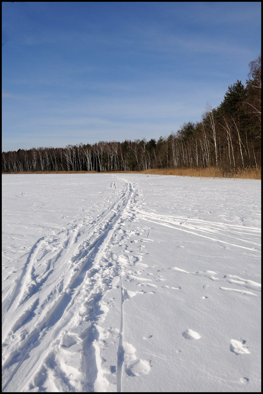 Дорога здоровья