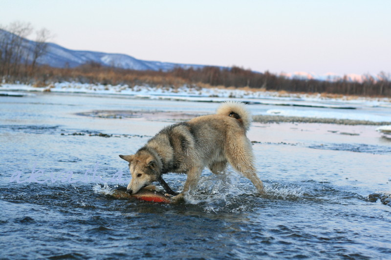 Рыбак