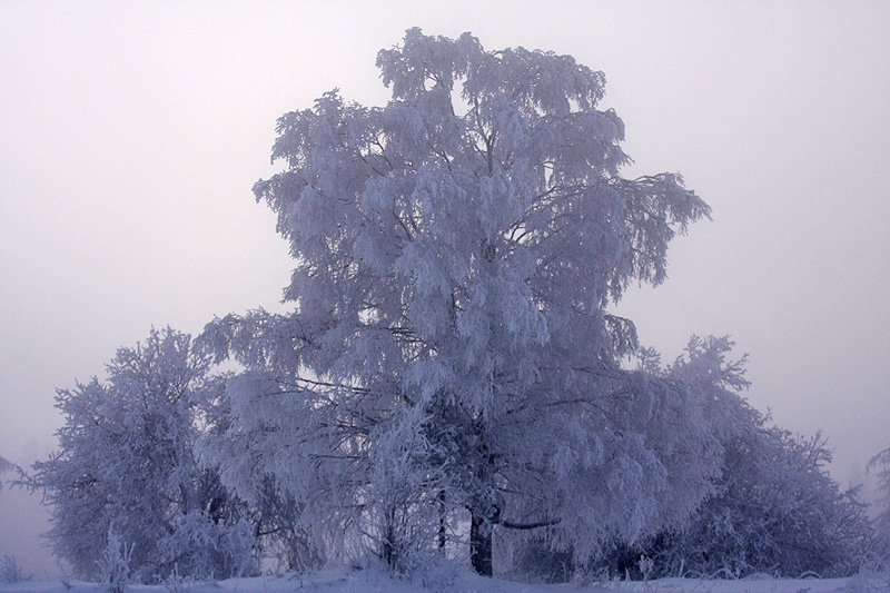 Ристалахти