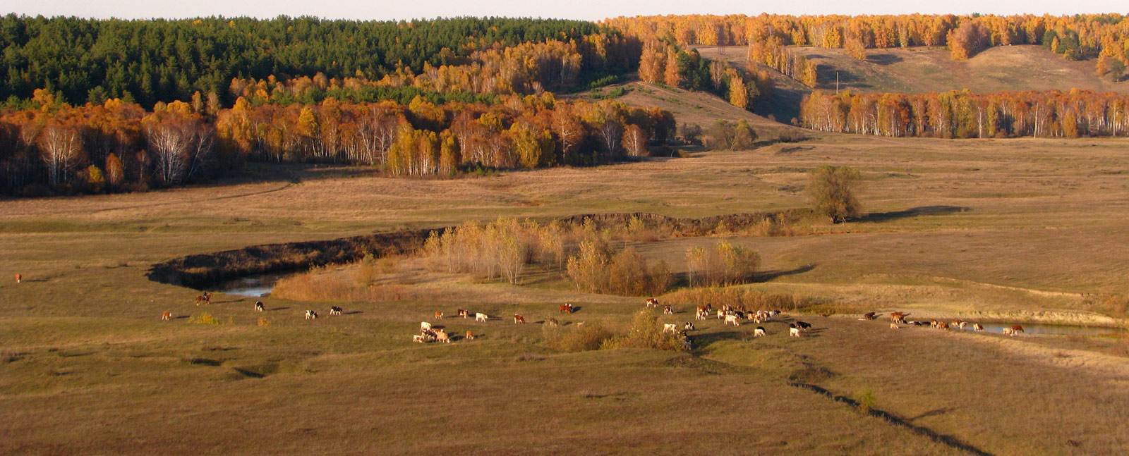 Родные просторы