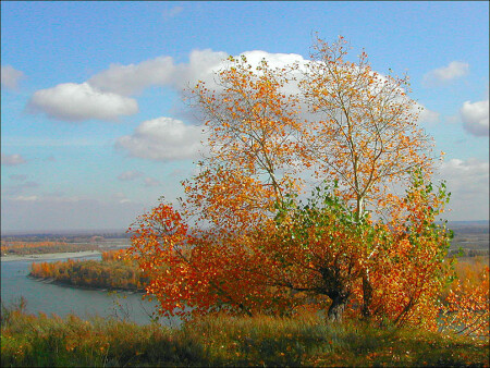 Осеннее настроение