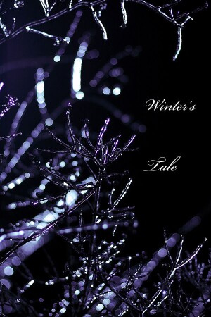 Winter&#039;s tale
