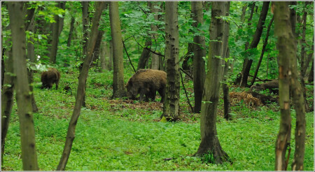 Летние встречи
