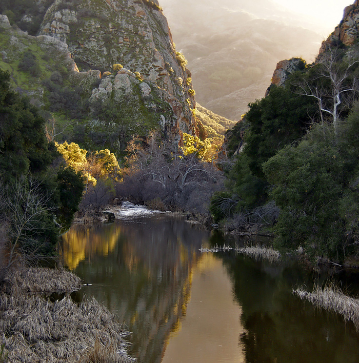 Malibu Creek